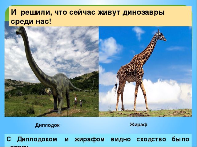 Презентация на тему:"Куда исчезли динозавры?"