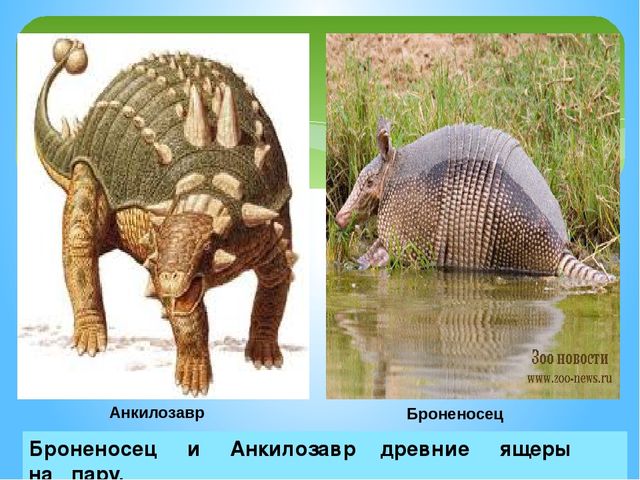 Презентация на тему:"Куда исчезли динозавры?"