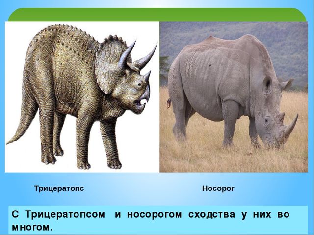 Презентация на тему:"Куда исчезли динозавры?"