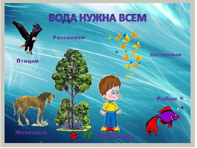 Презентация для детей "Свойства воды"