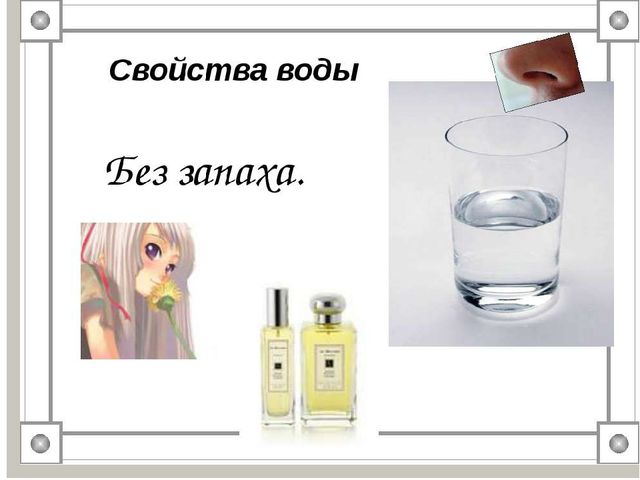 Презентация для детей "Свойства воды"