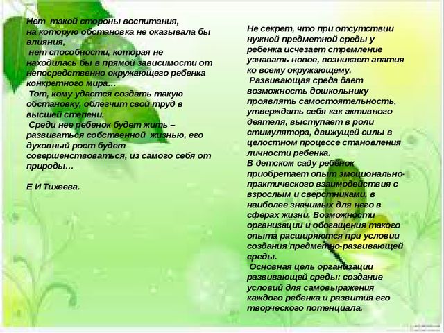 Презентация "Развивающая среда зимнего сада и ИЗО студии детского сада"