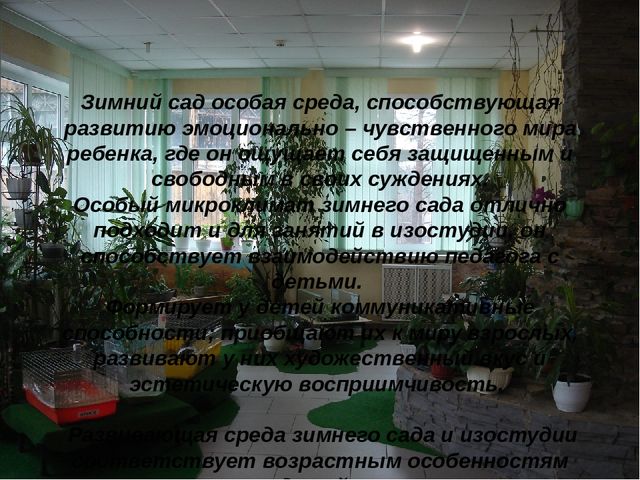 Презентация "Развивающая среда зимнего сада и ИЗО студии детского сада"
