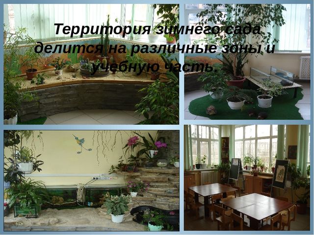 Презентация "Развивающая среда зимнего сада и ИЗО студии детского сада"