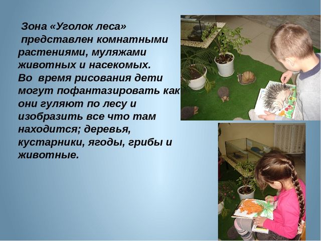 Презентация "Развивающая среда зимнего сада и ИЗО студии детского сада"