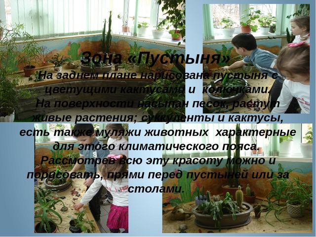 Презентация "Развивающая среда зимнего сада и ИЗО студии детского сада"
