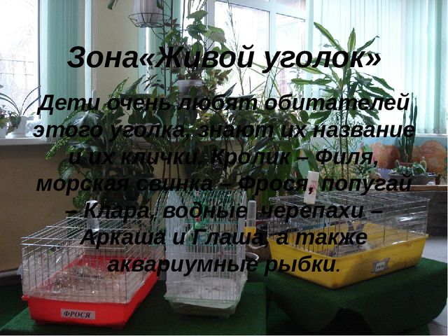 Презентация "Развивающая среда зимнего сада и ИЗО студии детского сада"