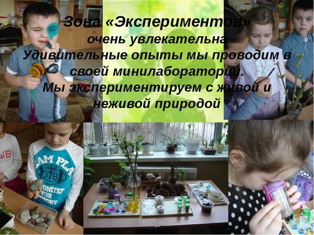Презентация "Развивающая среда зимнего сада и ИЗО студии детского сада"