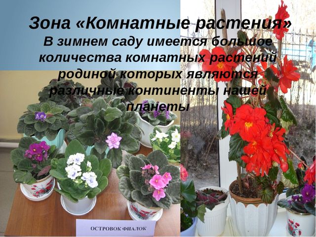 Презентация "Развивающая среда зимнего сада и ИЗО студии детского сада"