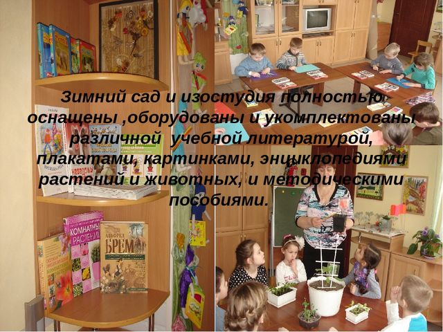 Презентация "Развивающая среда зимнего сада и ИЗО студии детского сада"