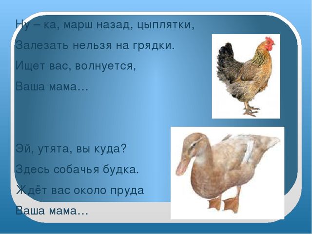 Презентация "Домашние птицы" младшая группа