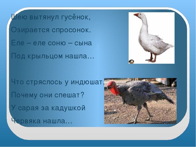 Презентация "Домашние птицы" младшая группа