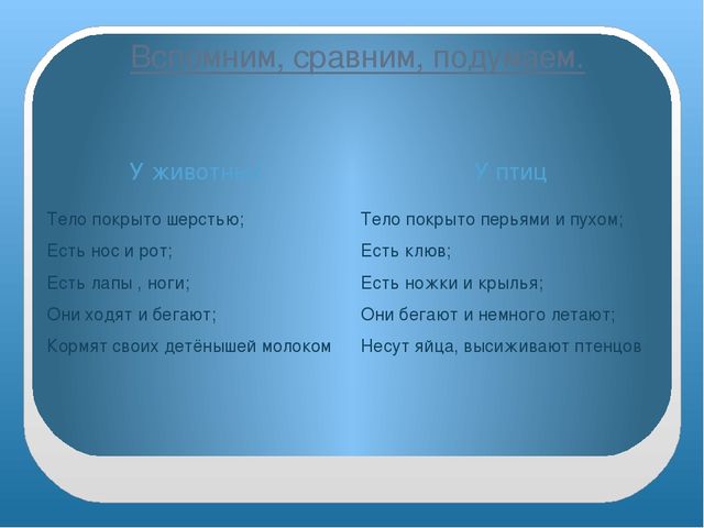 Презентация "Домашние птицы" младшая группа