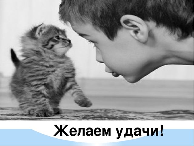 Родительское собрание "Слагаемые готовности к школьному обучению".