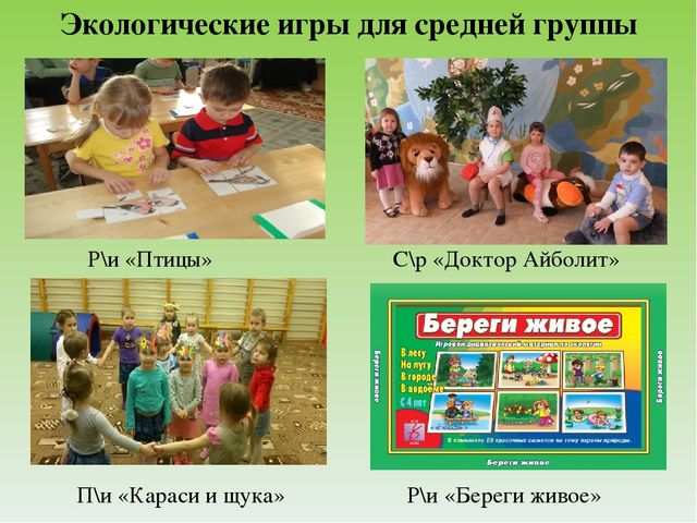 Экологические игры для дошкольников в картинках