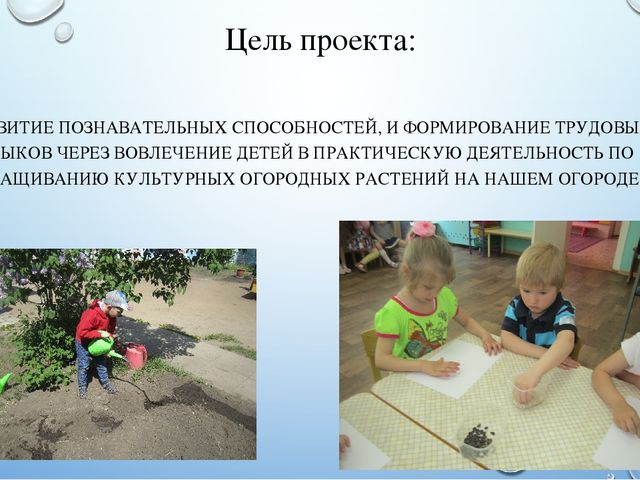Презентация летнего проекта в подготовительной группе: «У нас на огороде»