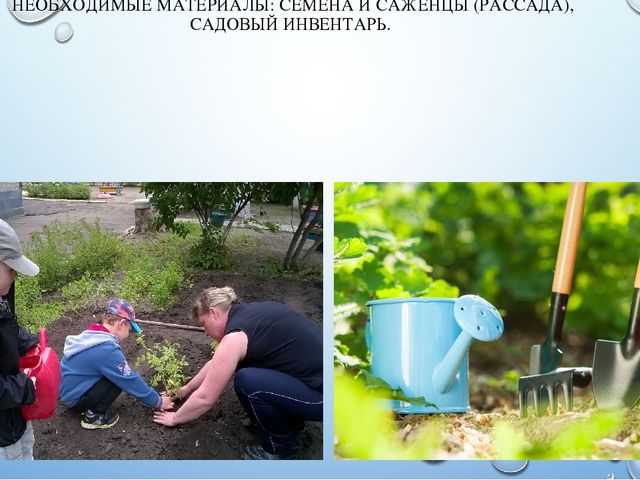 Презентация летнего проекта в подготовительной группе: «У нас на огороде»