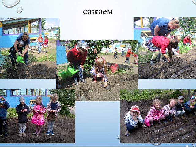 Презентация летнего проекта в подготовительной группе: «У нас на огороде»