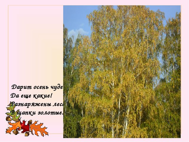 Презентация "Золотое дыхание осени"