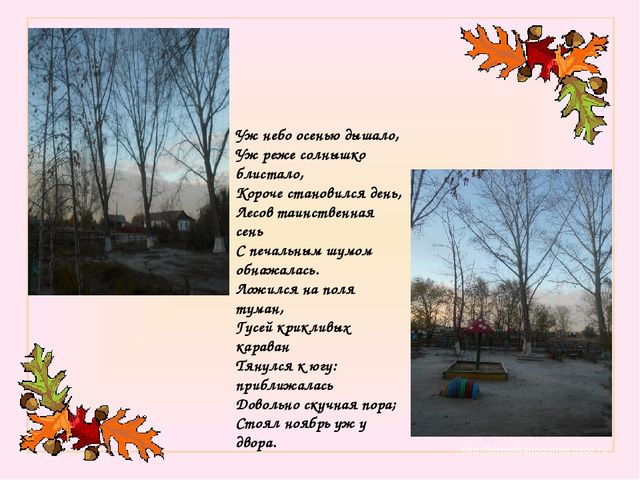 Презентация "Золотое дыхание осени"