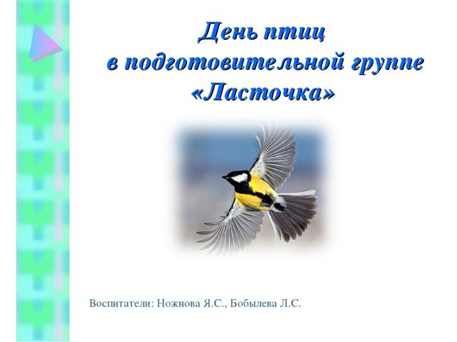 День птиц в подготовительной группе.