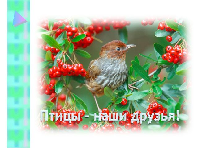 День птиц в подготовительной группе.
