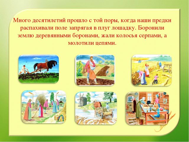 Наглядно – дидактическое пособие«От зернышка, до каравая»