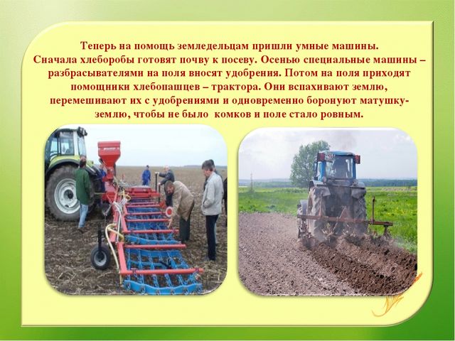 Наглядно – дидактическое пособие«От зернышка, до каравая»