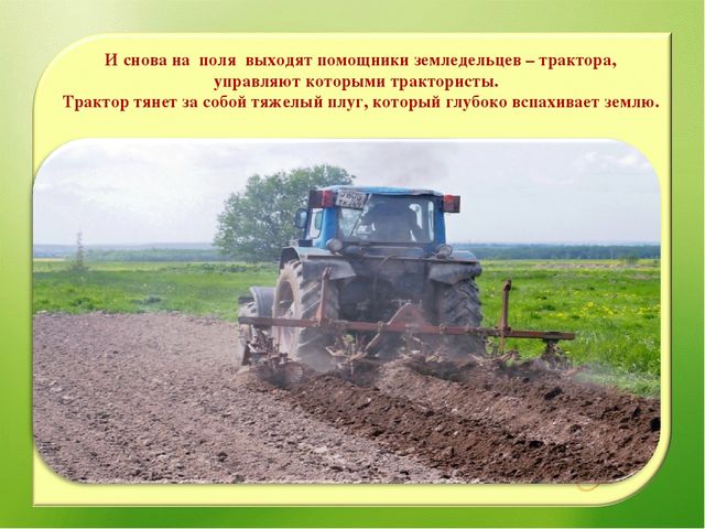 Наглядно – дидактическое пособие«От зернышка, до каравая»