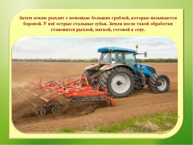 Наглядно – дидактическое пособие«От зернышка, до каравая»