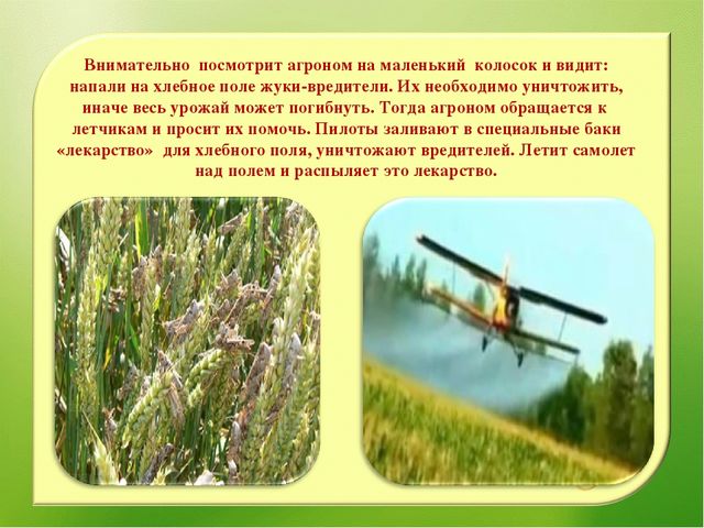 Наглядно – дидактическое пособие«От зернышка, до каравая»