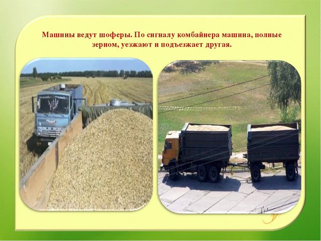 Наглядно – дидактическое пособие«От зернышка, до каравая»