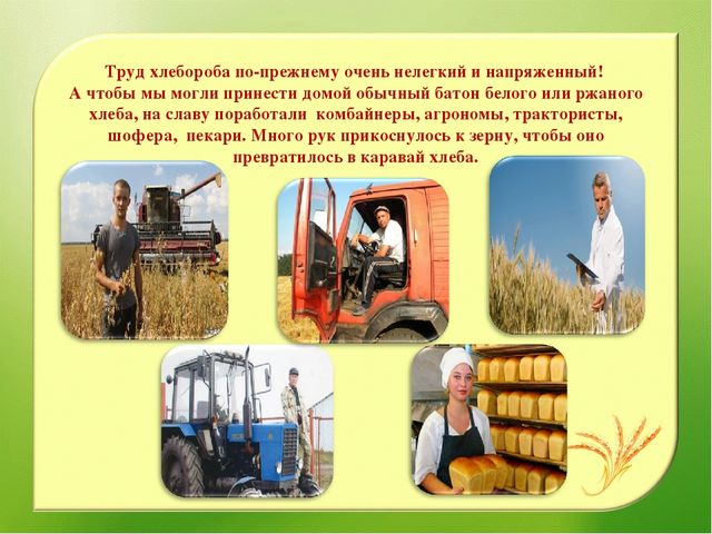Наглядно – дидактическое пособие«От зернышка, до каравая»