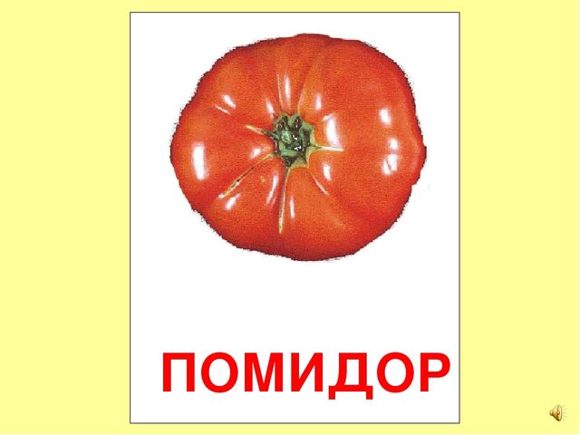 Презентация на тему Большая энциклопедия Знайки"