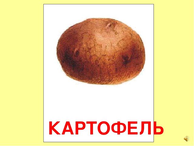 Презентация на тему Большая энциклопедия Знайки"