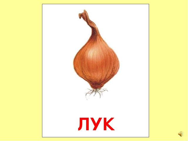 Презентация на тему Большая энциклопедия Знайки"