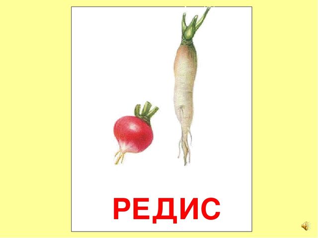 Презентация на тему Большая энциклопедия Знайки"