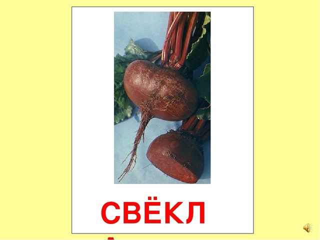 Презентация на тему Большая энциклопедия Знайки"