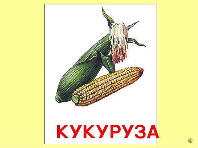 Презентация на тему Большая энциклопедия Знайки"