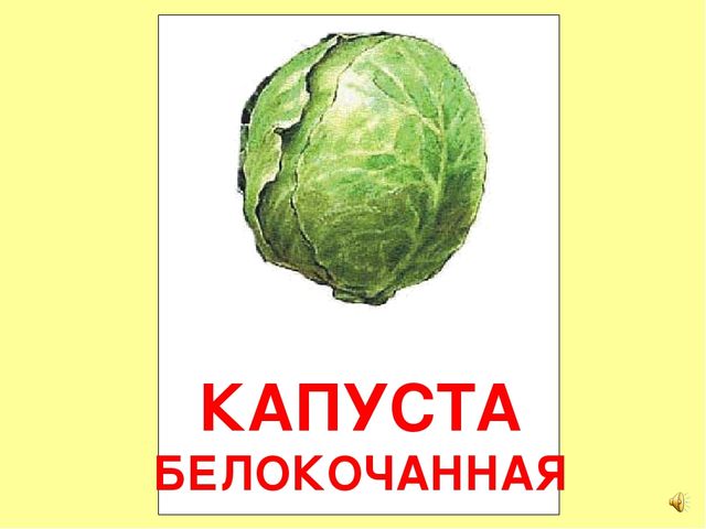 Презентация на тему Большая энциклопедия Знайки"