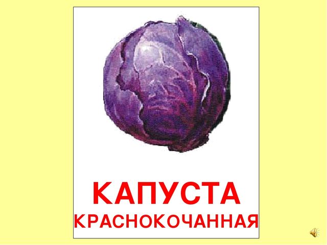 Презентация на тему Большая энциклопедия Знайки"