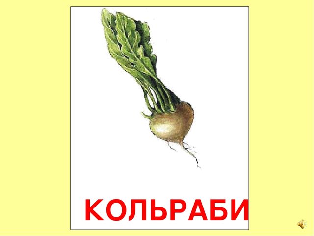 Презентация на тему Большая энциклопедия Знайки"