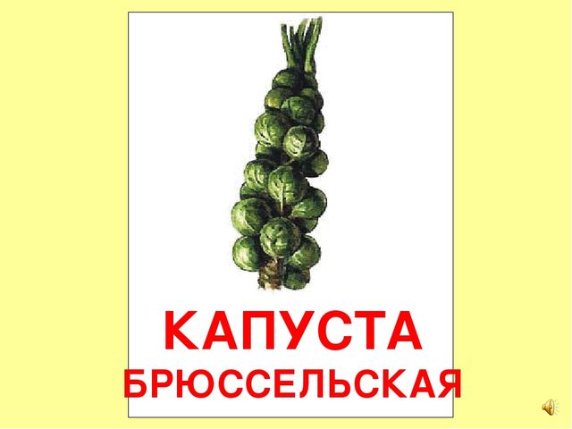 Презентация на тему Большая энциклопедия Знайки"