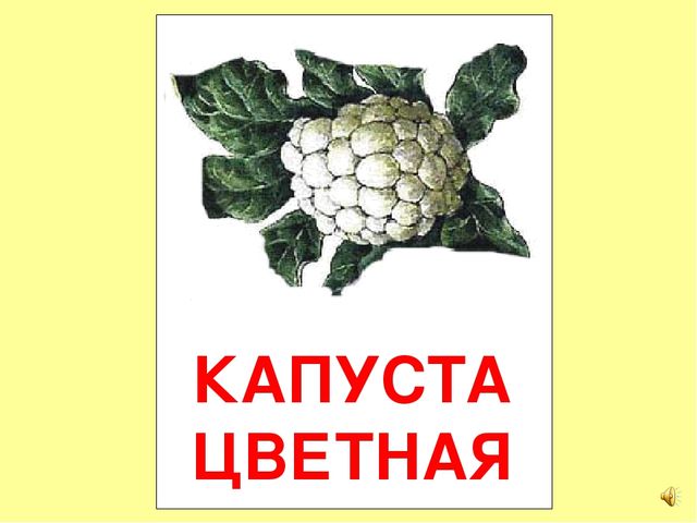 Презентация на тему Большая энциклопедия Знайки"