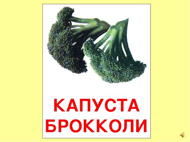 Презентация на тему Большая энциклопедия Знайки"