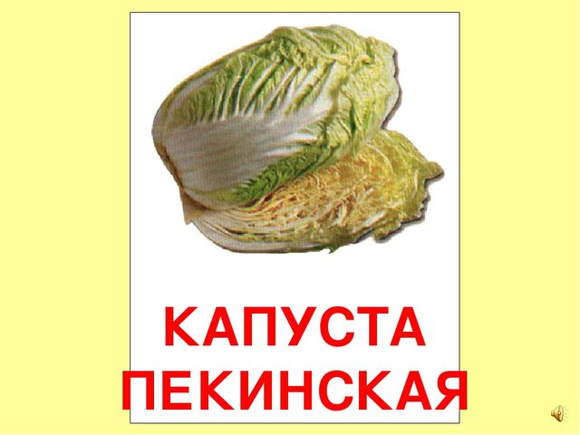 Презентация на тему Большая энциклопедия Знайки"