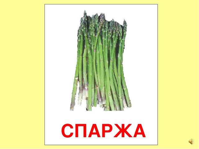 Презентация на тему Большая энциклопедия Знайки"