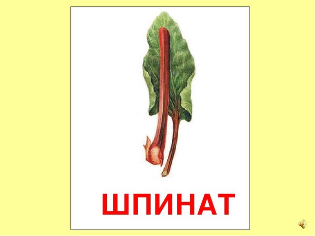 Презентация на тему Большая энциклопедия Знайки"
