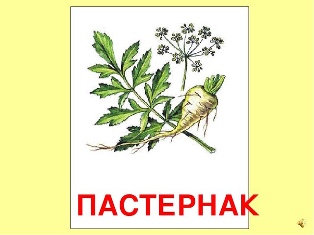 Презентация на тему Большая энциклопедия Знайки"