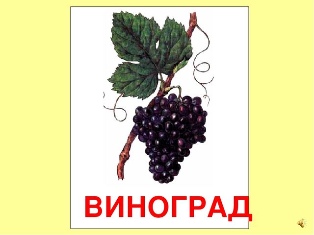 Презентация на тему Большая энциклопедия Знайки"
